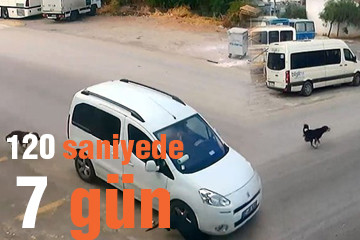 120 saniyede 7 gün