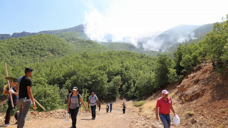'Tunceli'deki orman yangınları büyüyor'