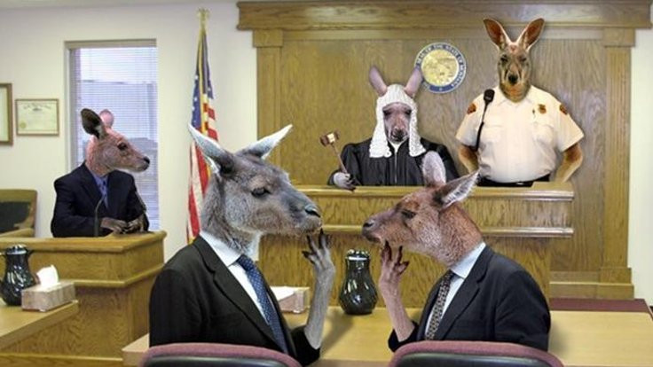 Kanguru mahkemeleri çağı