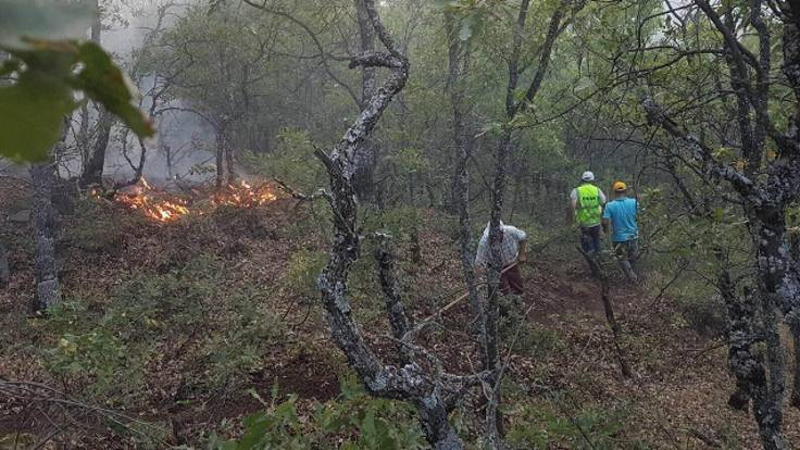 Tunceli Valiliği: Orman yangınları kısmen kontrol altına alındı
