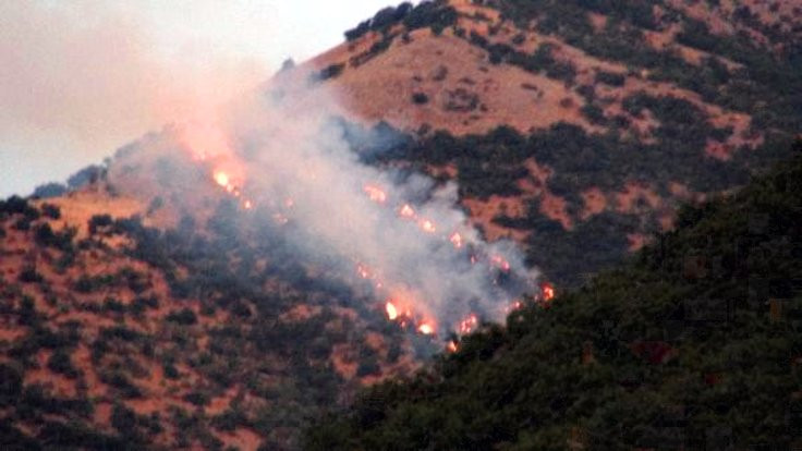 Tunceli'de 6 bölgede başlayan orman yangınları devam ediyor
