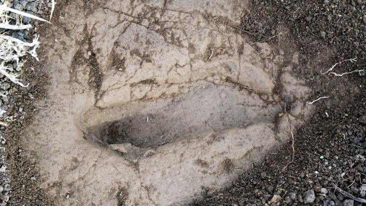 5.7 milyon yıllık ayak izi
