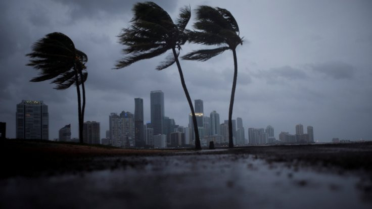 Irma kasırgası Florida'da
