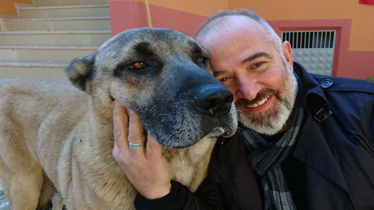 Köpekler öldü, sahipleri davalık oldu