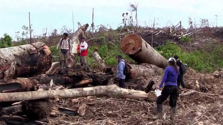 Arazi mafyası Peru'da 6 kişiyi öldürdü