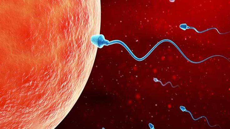 İnsan sperminde 27 virüs var