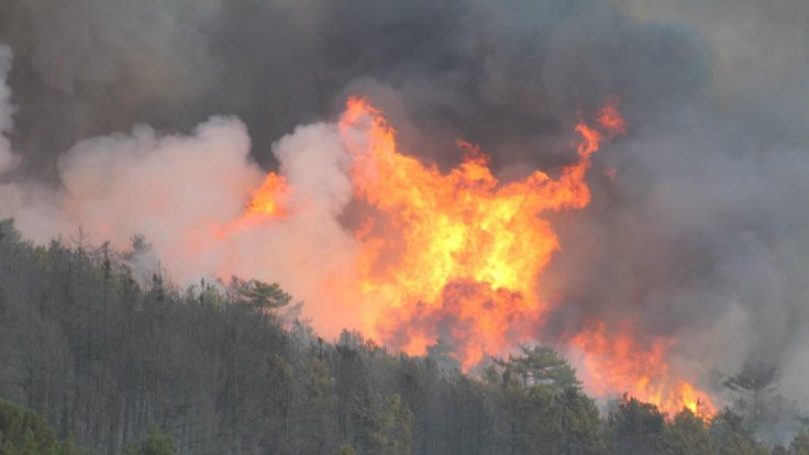 Kütahya'da orman yangını sürüyor