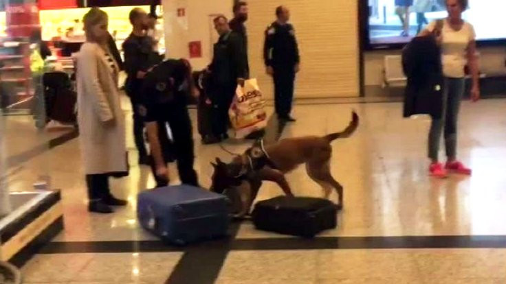 Almanya'dan Türkiye'ye gelen yolcular köpeklerle arandı