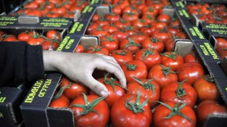 Rusya'dan domatese sınırlı izin