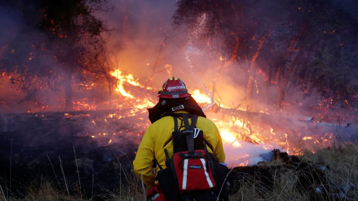 Kaliforniya yangınında 40 ölü
