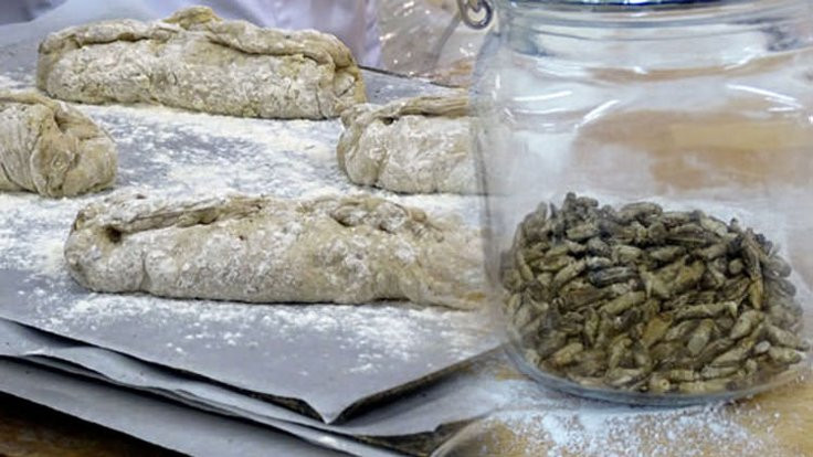 Finlandiya'da cırcır böcekli ekmek satışı başlıyor