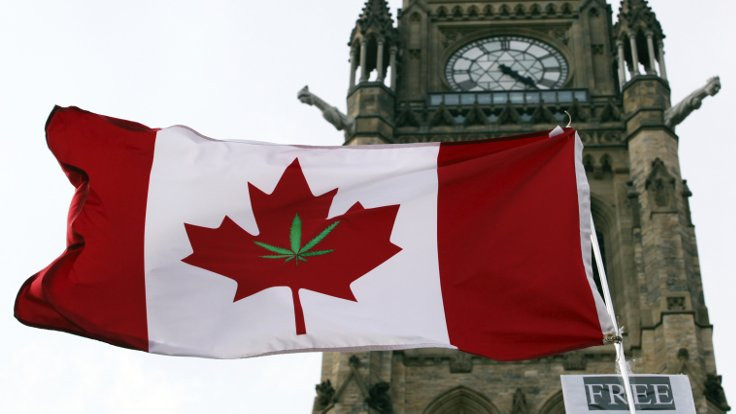 Kanada'da marihuananın yasallaştırılması senatoya sunuldu