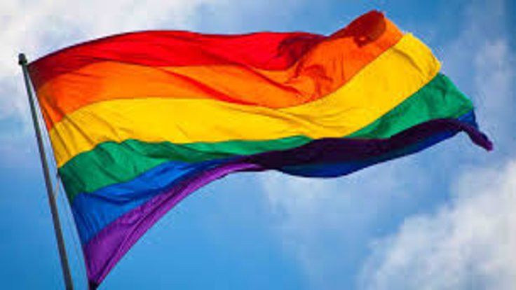 Yasaklanan LGBTİ etkinlikleri Meclis'te