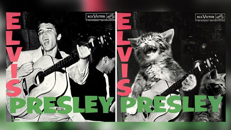 Kült albüm kapaklarında kedi patisi - Sayfa 3