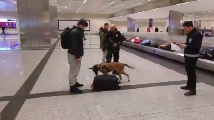 İstanbul'a gelen Hollandalılara köpekli arama