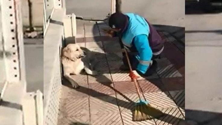 Temizlik işçisi köpeğe şarkı söyledi: Biter mi bu hasret?