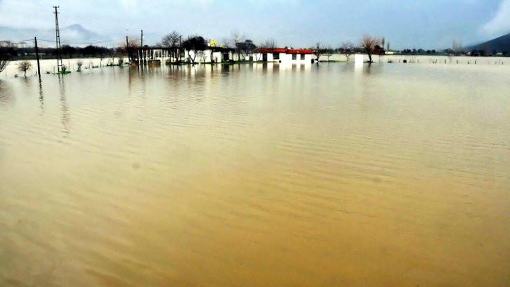 Bodrum'da sağanak yağmur ve su baskını