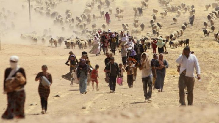 'IŞİD Ezidi topraklarını işlenemez hale getirdi'