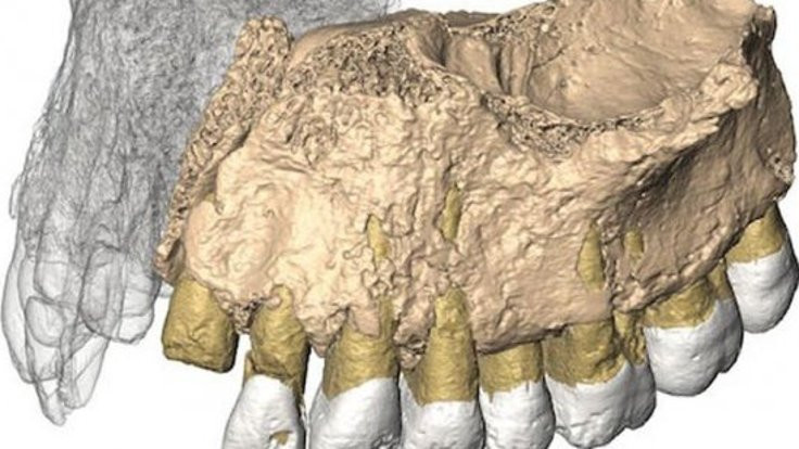 Afrika dışındaki en eski insan fosili bulundu!
