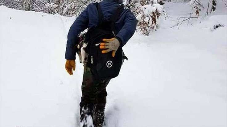 Rahatsızlanan köpeğini yarım metre karda, 7 kilometre sırtında taşıdı