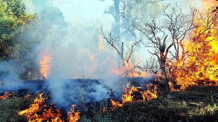 5 yılda 13 bin orman yangını: 39 bin hektar kül oldu