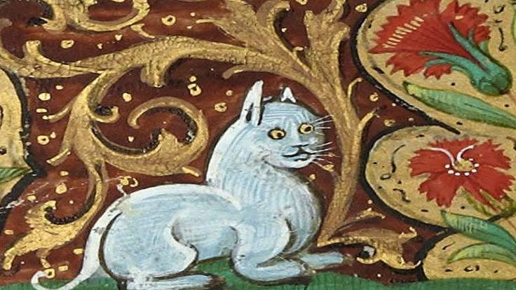 Ortaçağ'da kediler neden sevilmiyordu? - Sayfa 2