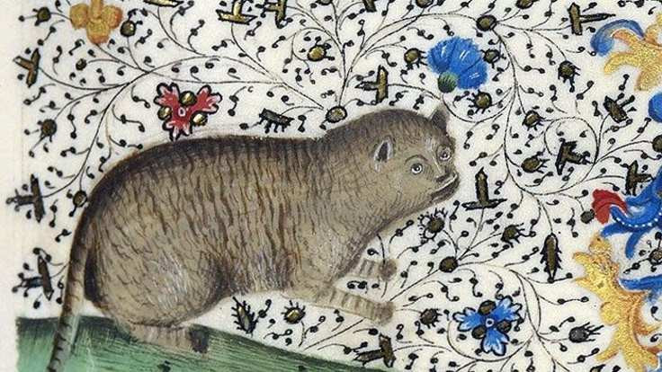 Ortaçağ'da kediler neden sevilmiyordu? - Sayfa 3