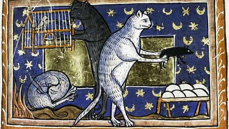 Ortaçağ'da kediler neden sevilmiyordu? - Sayfa 4