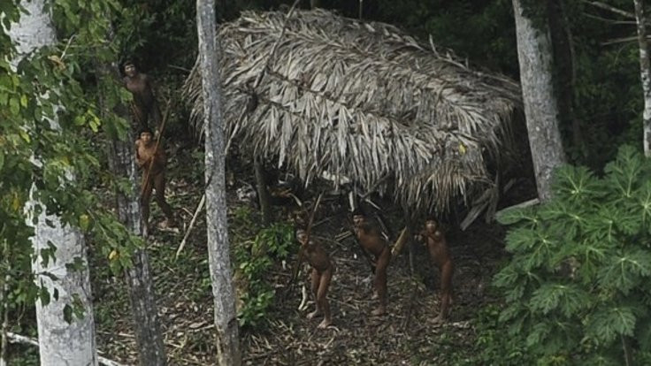 Amazon ormanlarında milyonlar yaşıyormuş!