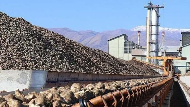 ZMO: Şeker fabrikaları 58 milyon lira kâr etti