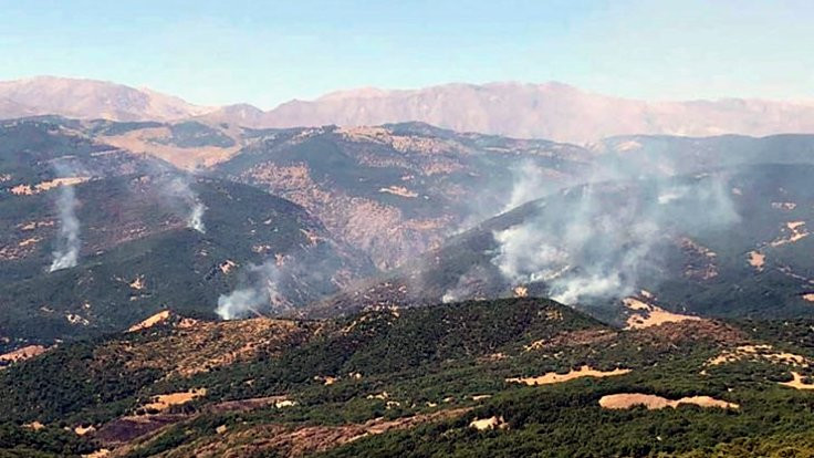 Dersim Barosu: Hozat’taki yangına müdahale edilsin