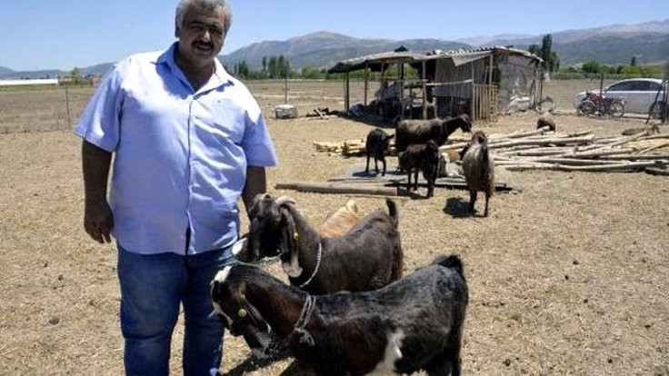 Isparta'da bir amatör kulüp, 18 futbolcu satıp 10 keçi aldı