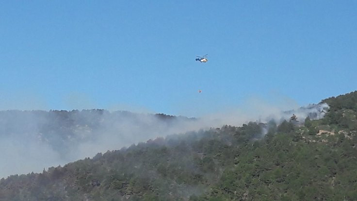 Hatay'da orman yangını