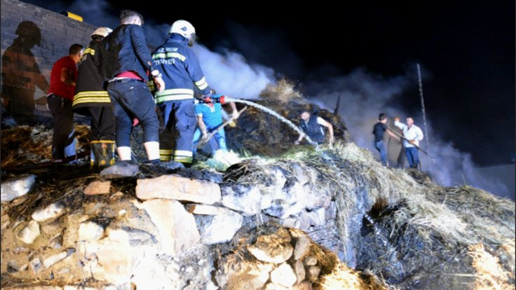 Erzurum'daki köy yangınında 25 büyükbaş hayvan öldü