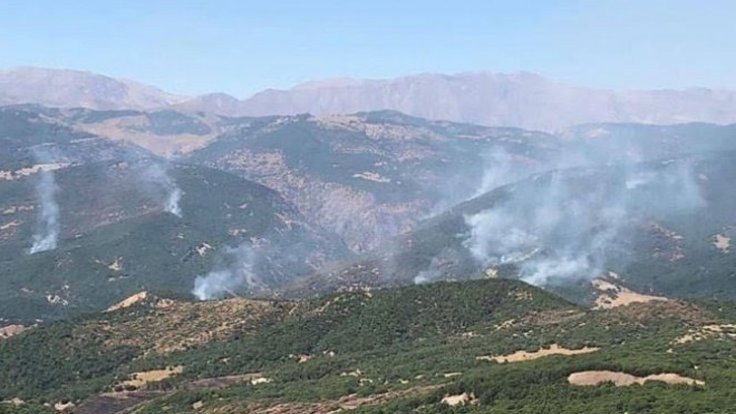 'Dersim'de iki haftalık yangını devlet seyretti'