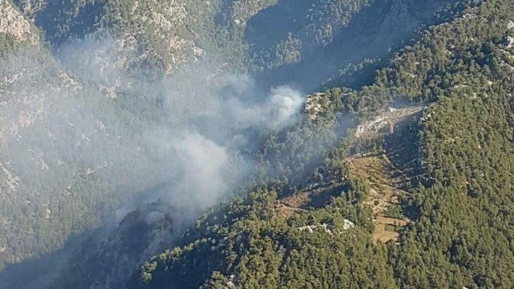 Muğla'da orman yangını: 2,5 hektar alan yandı
