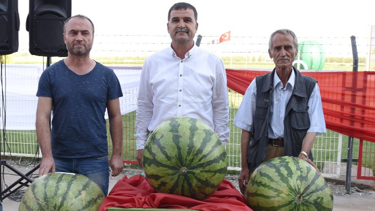 Diyarbakır'da Karpuz Festivali iptal