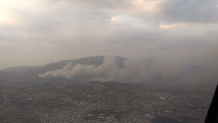 Hatay'da orman yangını