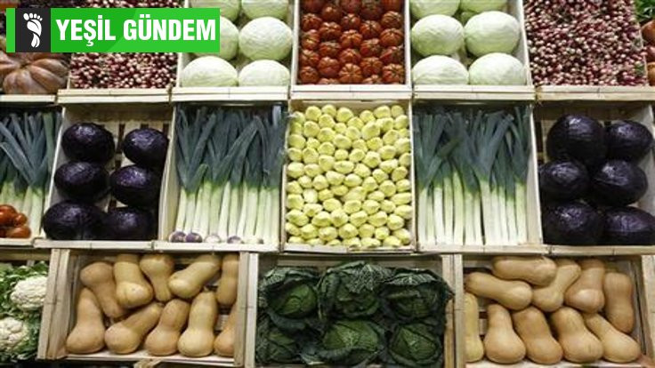 Yeşil Gündem: 10 milyar insana yetebilecek gıda sistemi mümkün