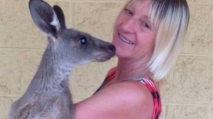 Doğal hayatı korurken kanguru saldırdı!