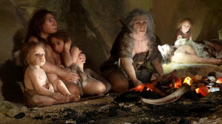 Gurme, sanatçı, yenilikçi: Neandertal! - Sayfa 1