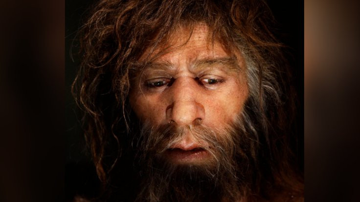 Gurme, sanatçı, yenilikçi: Neandertal!
