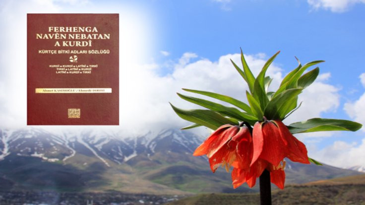20 bin bitkinin Kürtçe ismi bir sözlükte toplandı