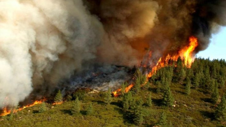 Orman yangınları içme suyunu bozuyor