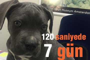 120 saniyede 7 gün