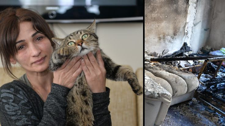 Kedi, yangında sahibini kurtardı