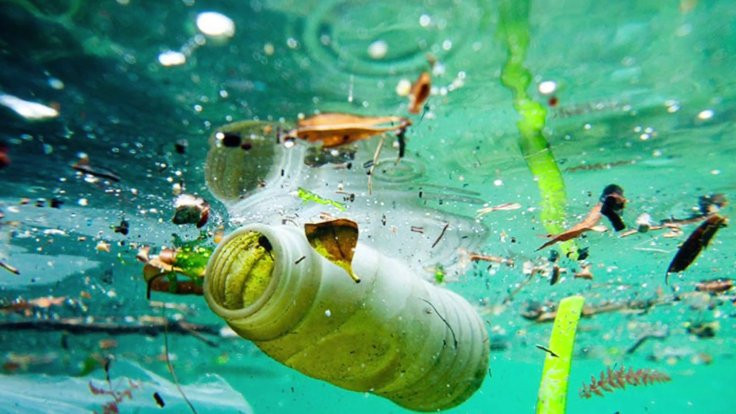 Dünyanın en derin suları, plastiklerle dolu
