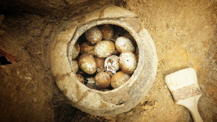 2 bin 500 yıllık mezarda kırılmamış yumurtalar bulundu