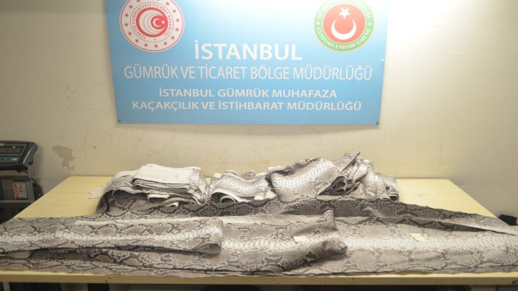 Atatürk Havalimanı'nda 23 yılan derisi bulundu!