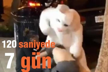 120 saniyede 7 gün